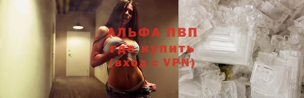 дживик Арсеньев