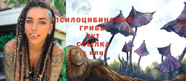 дживик Арсеньев